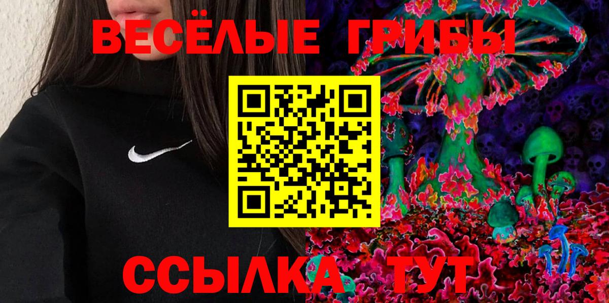 Псилоцибиновые грибы Psilocybine cubensis Солнечногорск