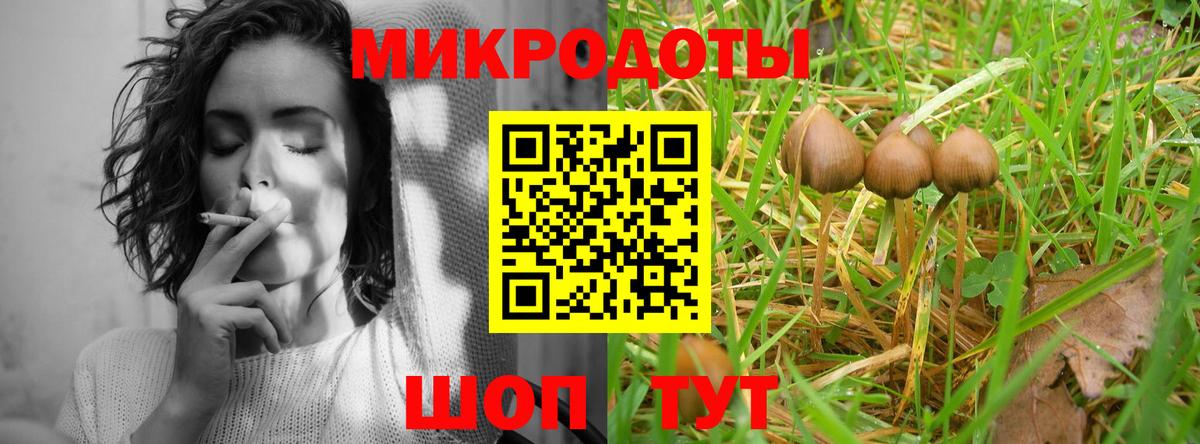 Галлюциногенные грибы MAGIC MUSHROOMS  Вход с VPN  Солнечногорск 